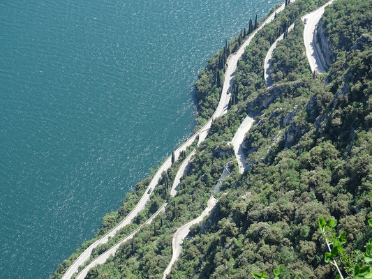 aerial photo of ocean and trees