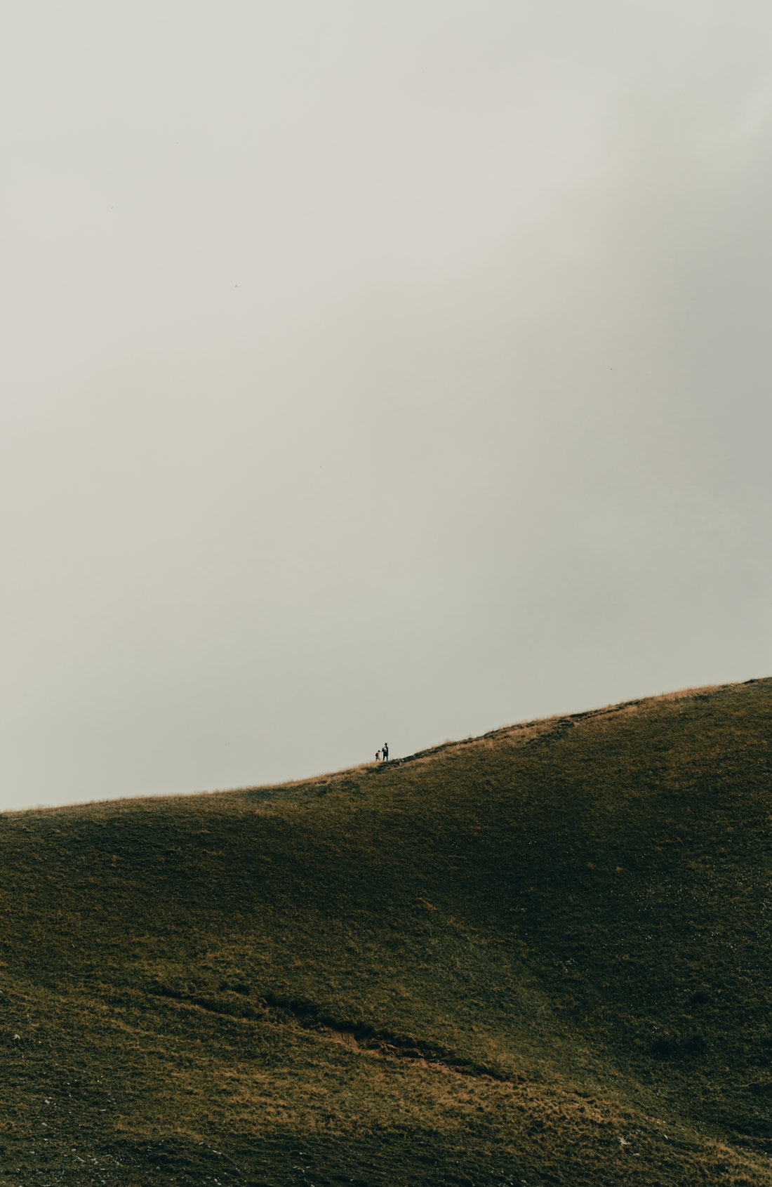 a couple of people standing on top of a lush green hillside