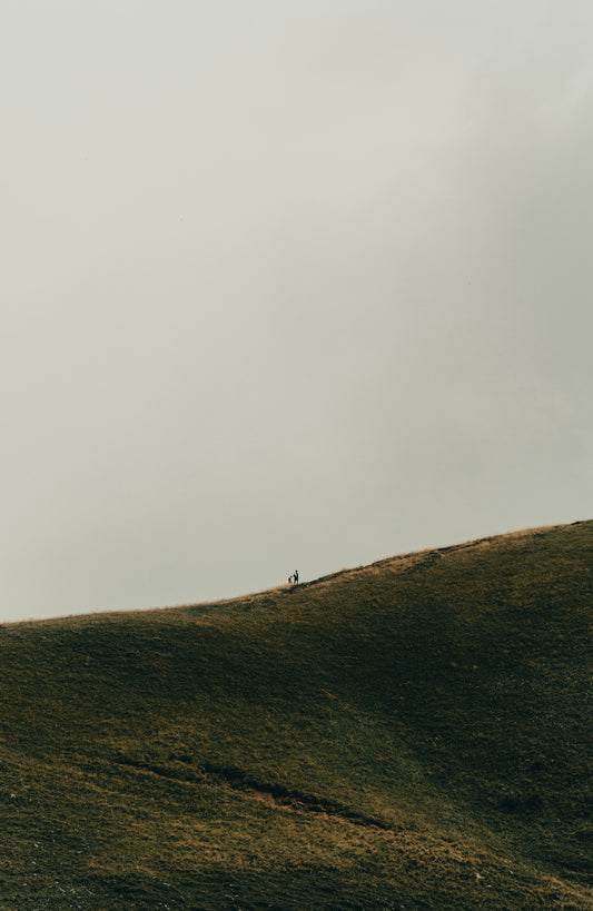 a couple of people standing on top of a lush green hillside