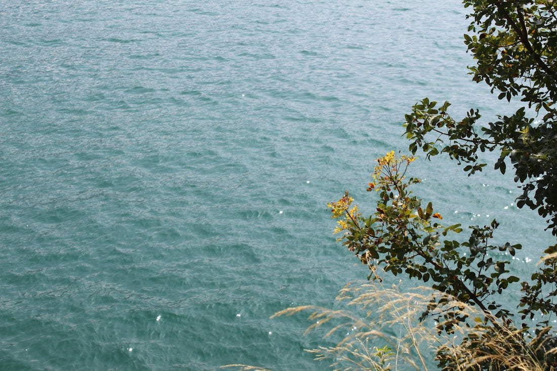 A view of a body of water from a hill