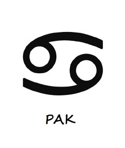 Гривни зодия рак